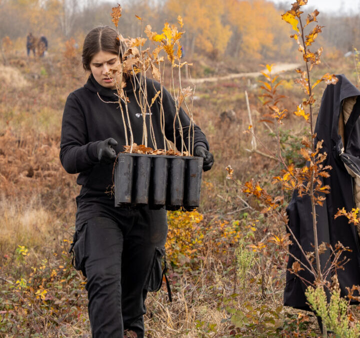 CO2MPENSATING BY PLANTING