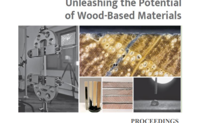 Škola drvne tehnologije i šumarstva na ICWST 2025.