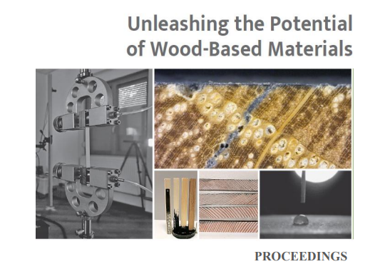 Škola drvne tehnologije i šumarstva na ICWST 2025.