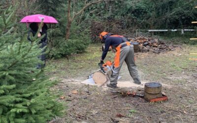 Školsko natjecanje – disciplina Šumarstvo (WorldSkills Croatia 2026)