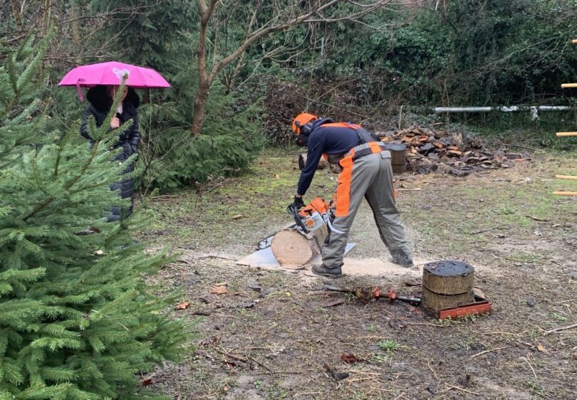 Školsko natjecanje – disciplina Šumarstvo (WorldSkills Croatia 2026)